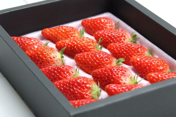 1606787719911437.jpg 1606787719911437.jpg