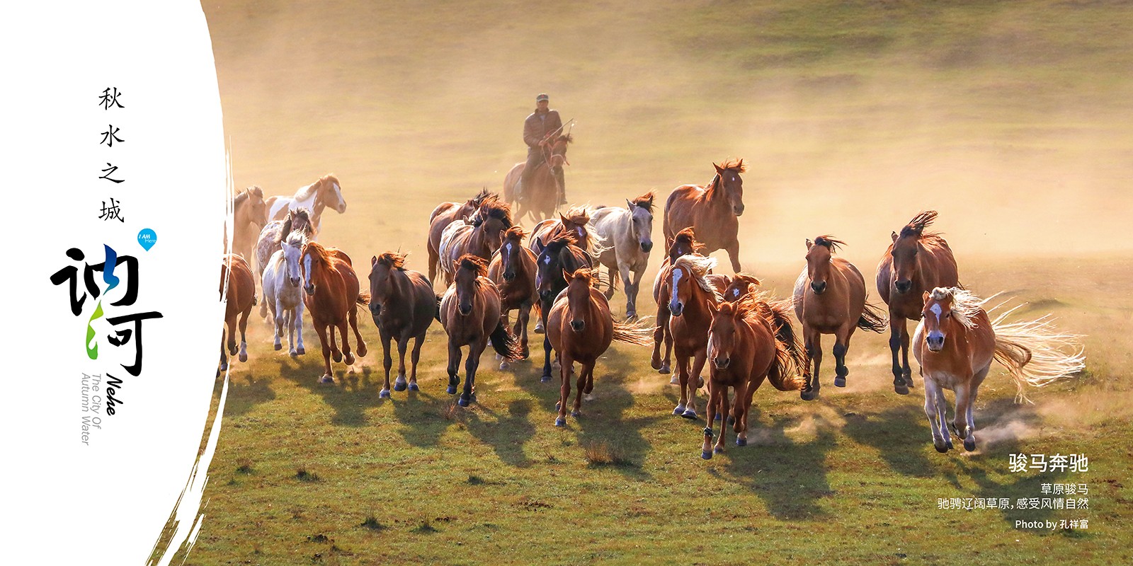 1615193832463016.jpg 9.jpg