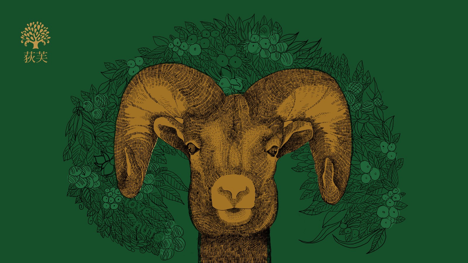 堅果插畫創(chuàng)意